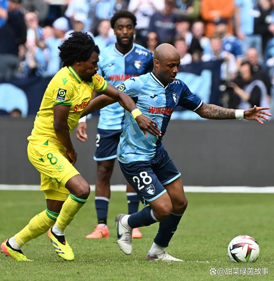 南特客场丢分，法甲保级形势略显不妙的简单介绍